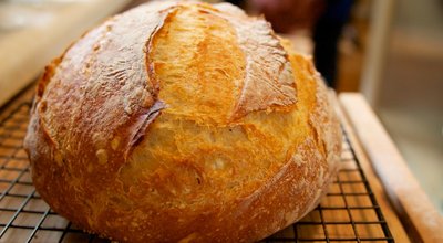A freshly baked loaf of bread resting on a cooling rack, showcasing its golden crust and inviting texture