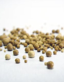 A close-up of small brown bits on a white surface, highlighting the texture and details of yeast extract